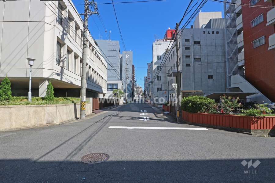 敷地北側の前面道路（西側から）