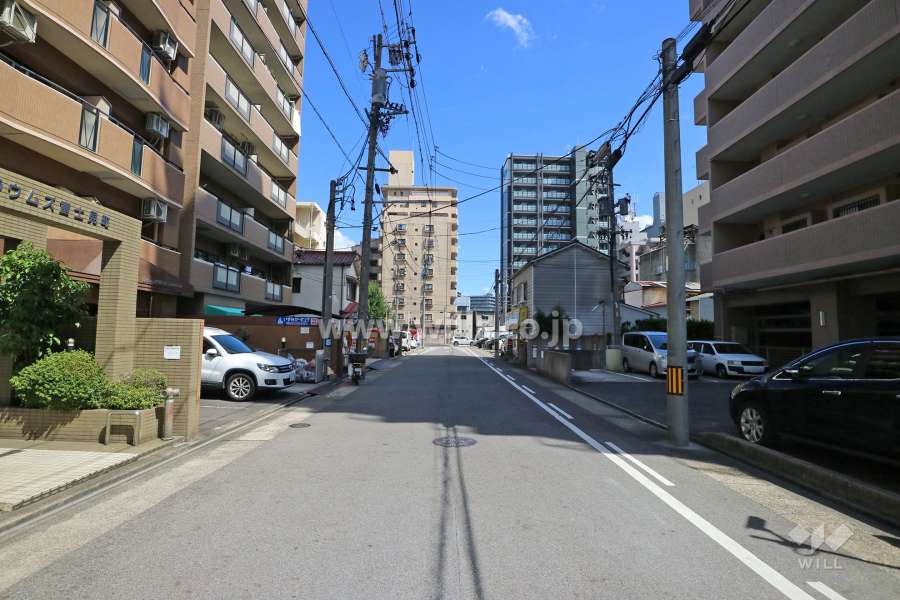 敷地北側の前面道路（西側から）