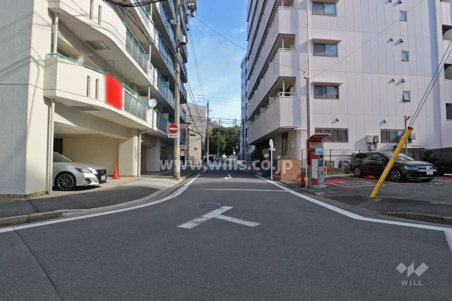 敷地南東側の前面道路（南西側から）