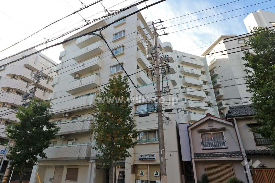 三井金山ハイツの外観（北側から）