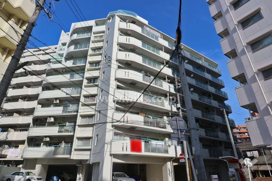 三井金山ハイツの外観（南側から）