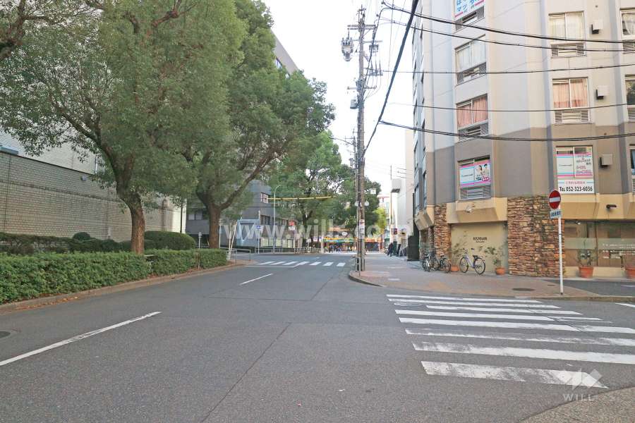 敷地東側の前面道路（北側から）