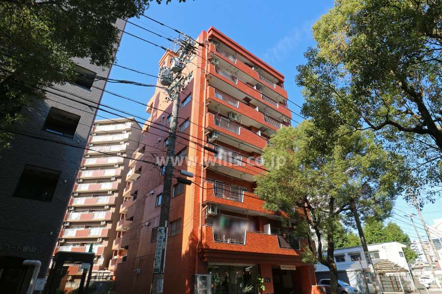 シャンボール金山の外観（南東側から）