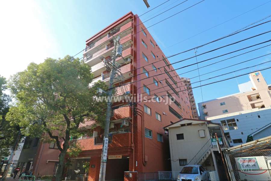 シャンボール金山の外観（北東側から）