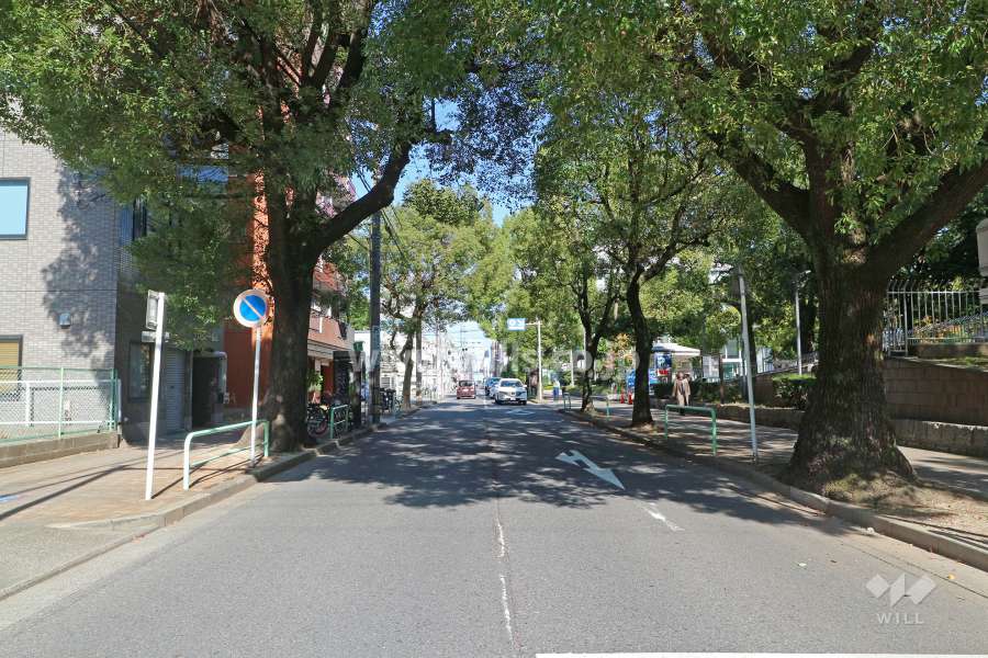 敷地東側の前面道路（南側から）