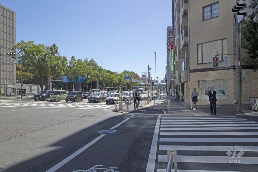 敷地東側の前面道路（北側から）