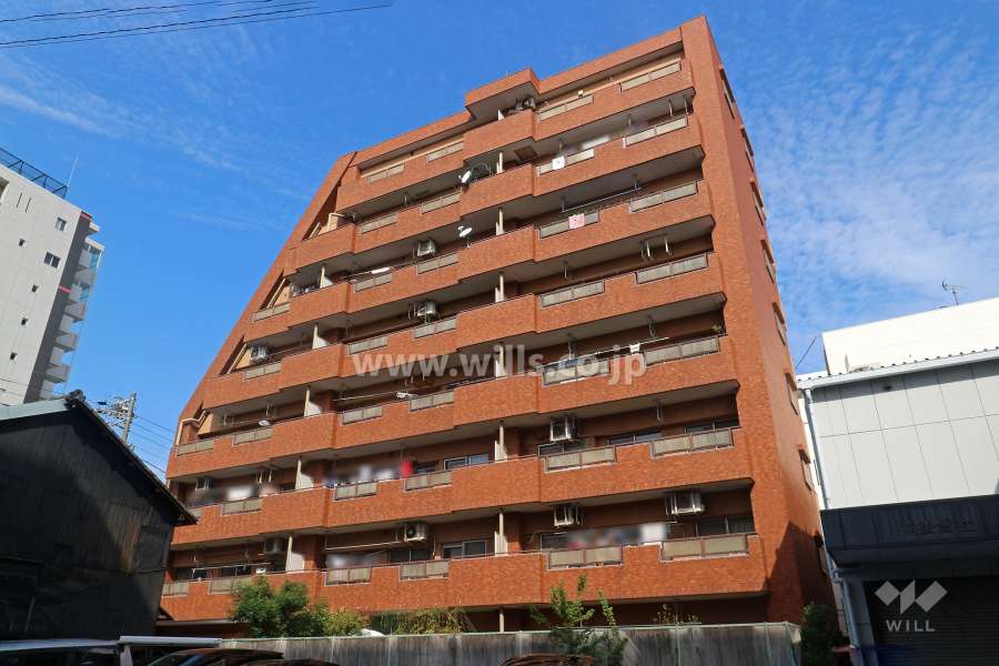 レインボー橘の外観（南側から）