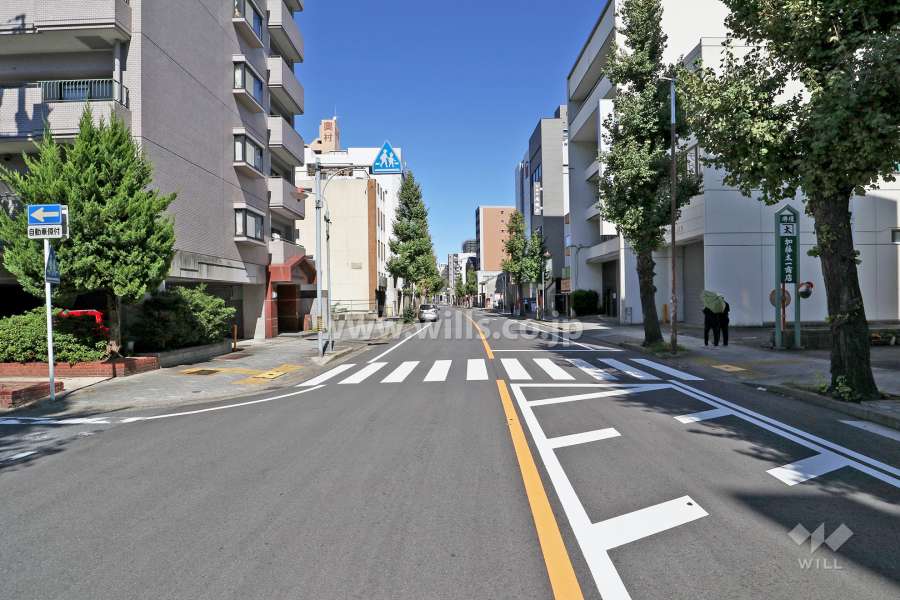 敷地南東側の前面道路（南西側から）
