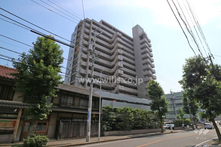 バンベール金山の外観（北東側から）