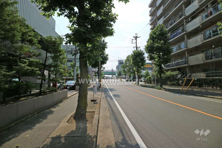 敷地北側の前面道路（東側から）
