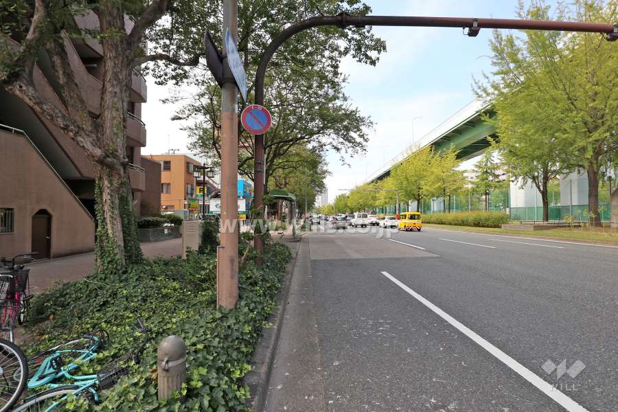 敷地北側の前面道路（東側から）