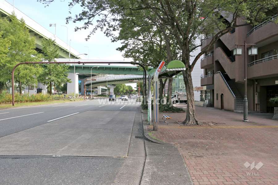 敷地北側の前面道路（西側から）