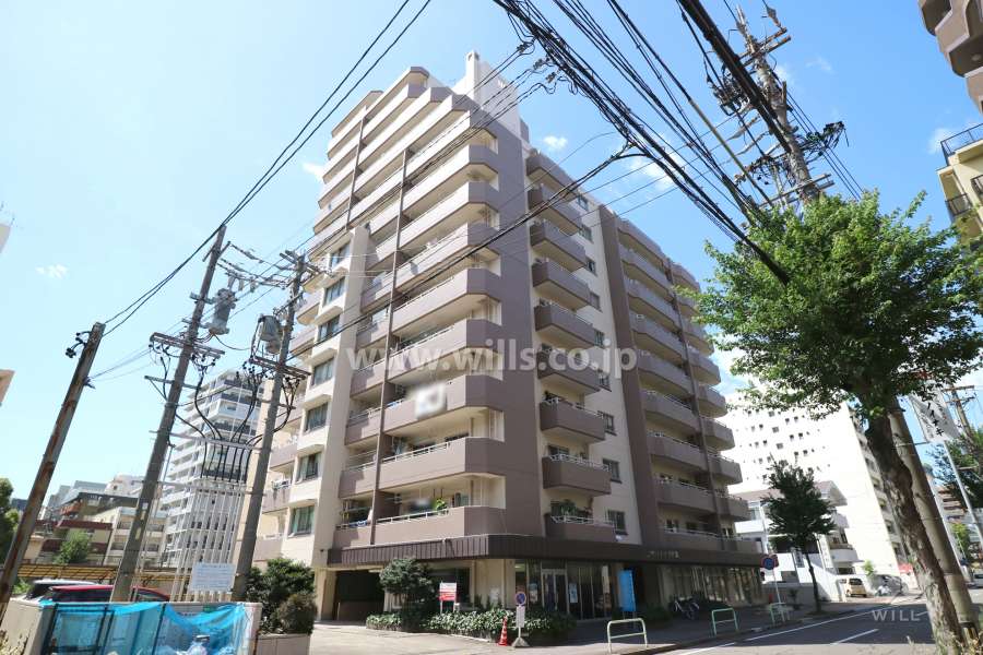 グリーンコーポ千代田の外観（南東側から）