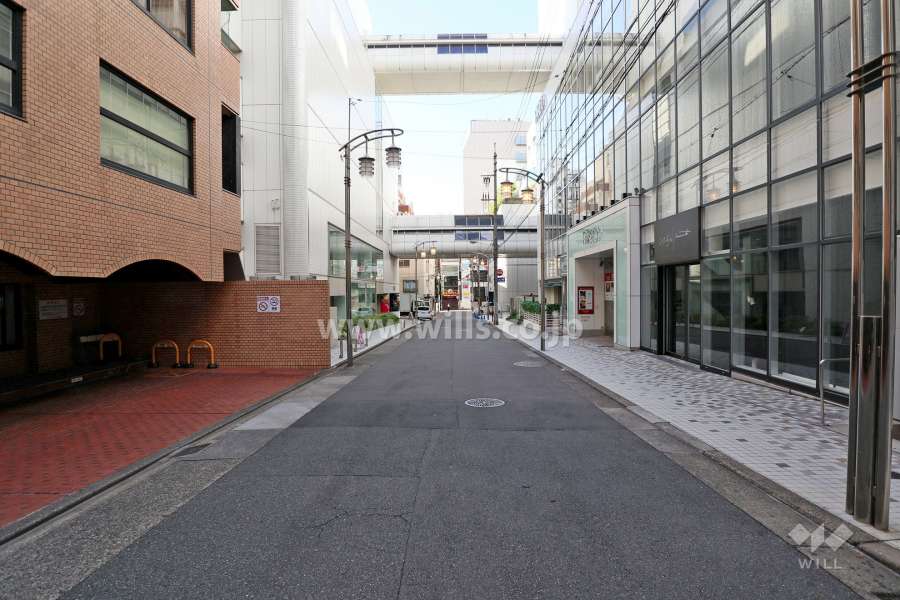 敷地西側の前面道路（北側から）