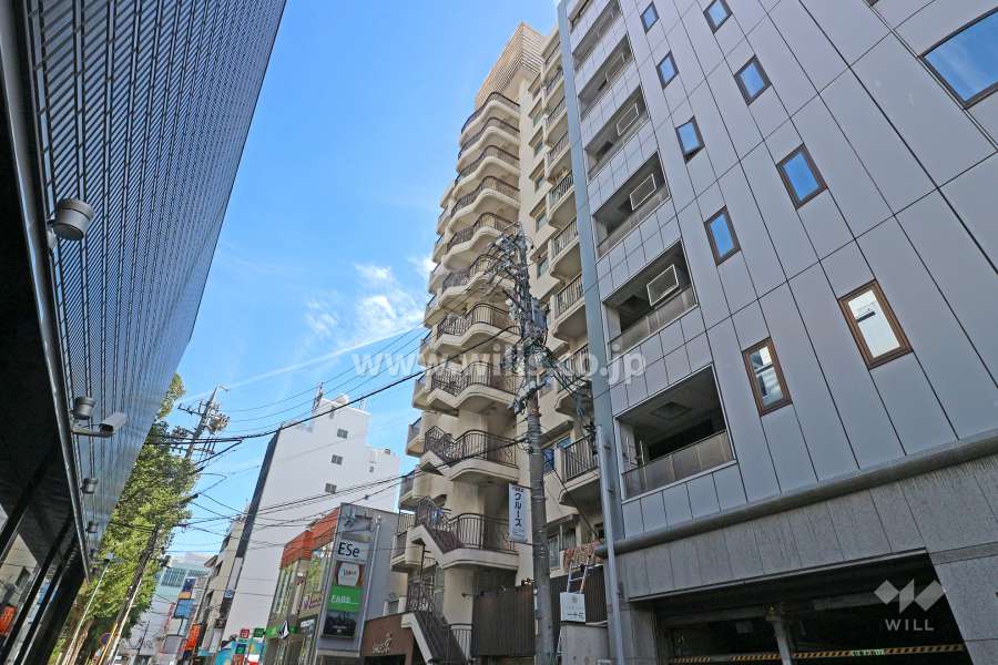 ジャルダン栄の外観（北西側から）