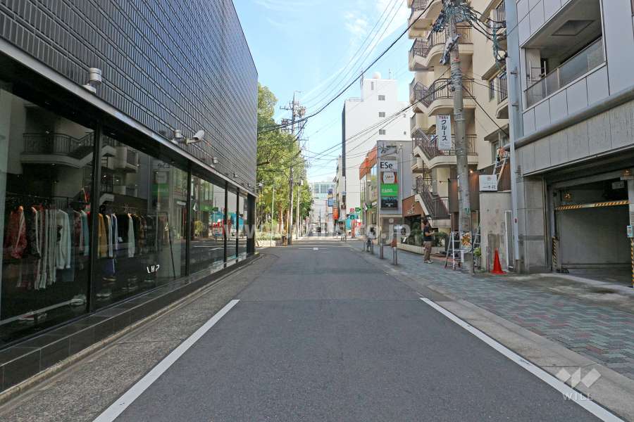 敷地北側の前面道路（西側から）