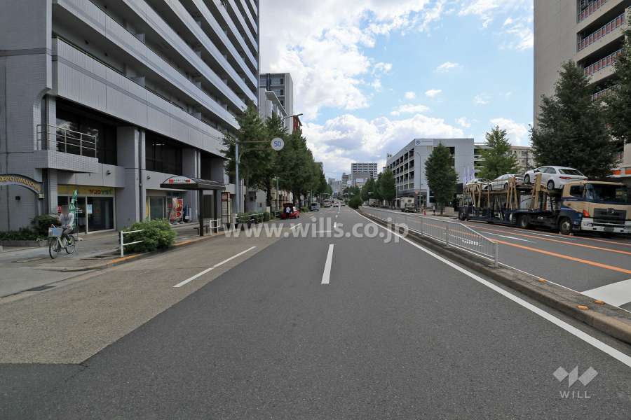 敷地南側の前面道路（西側から）