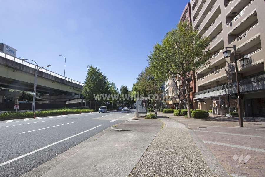敷地南側の前面道路（東側から）