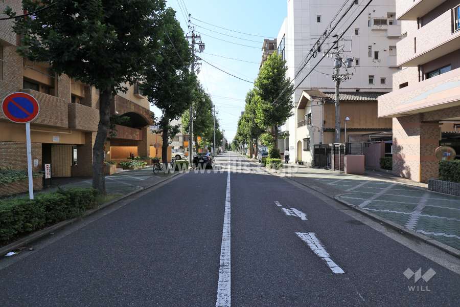 敷地東側の前面道路