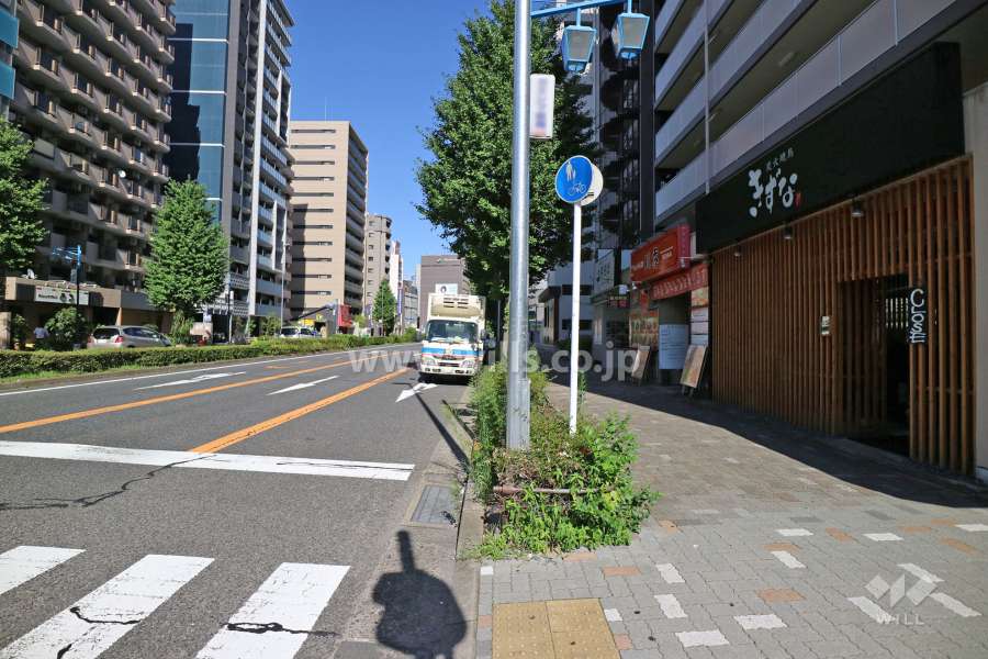 敷地北側の前面道路（西側から）