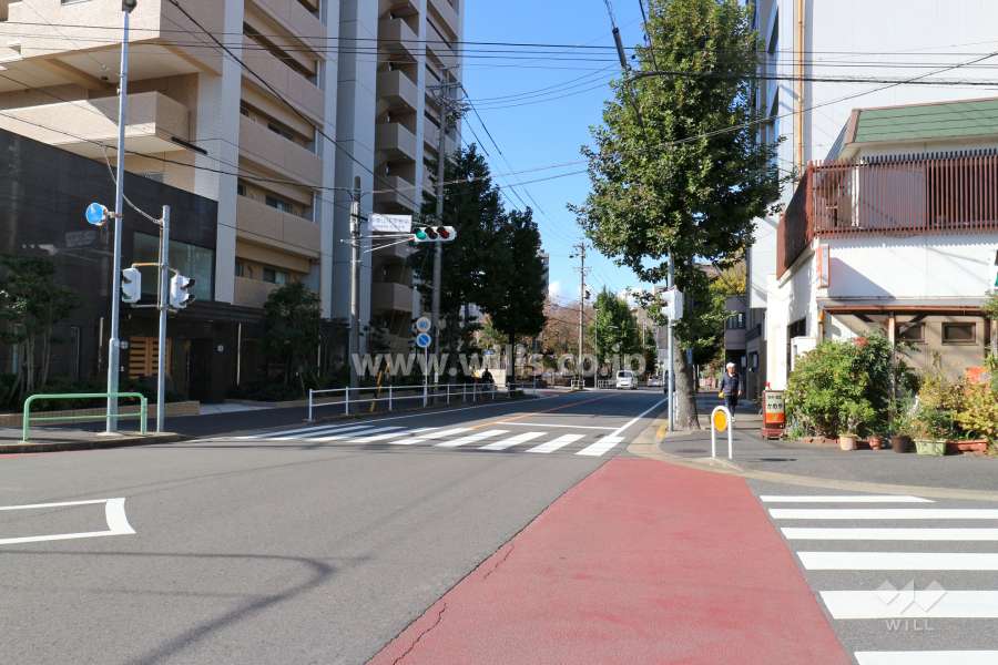 敷地北側の前面道路（東側から）