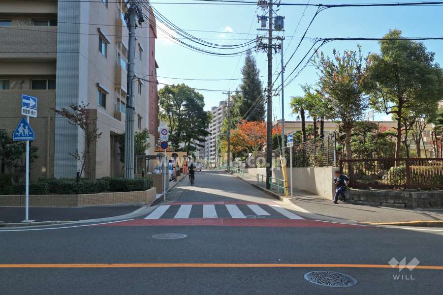 敷地西側の前面道路（北側から）