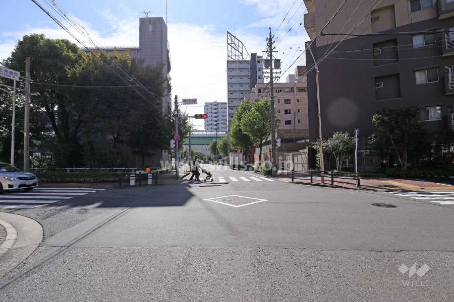 敷地東側の前面道路（北側から）