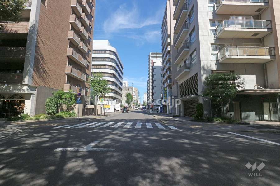 敷地西側の前面道路（南側から）
