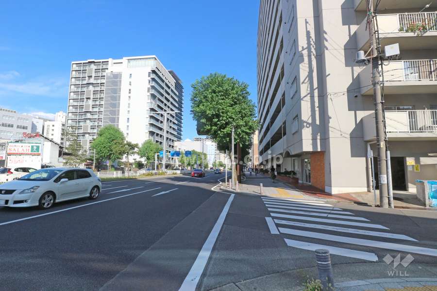 敷地北側の前面道路（西側から）