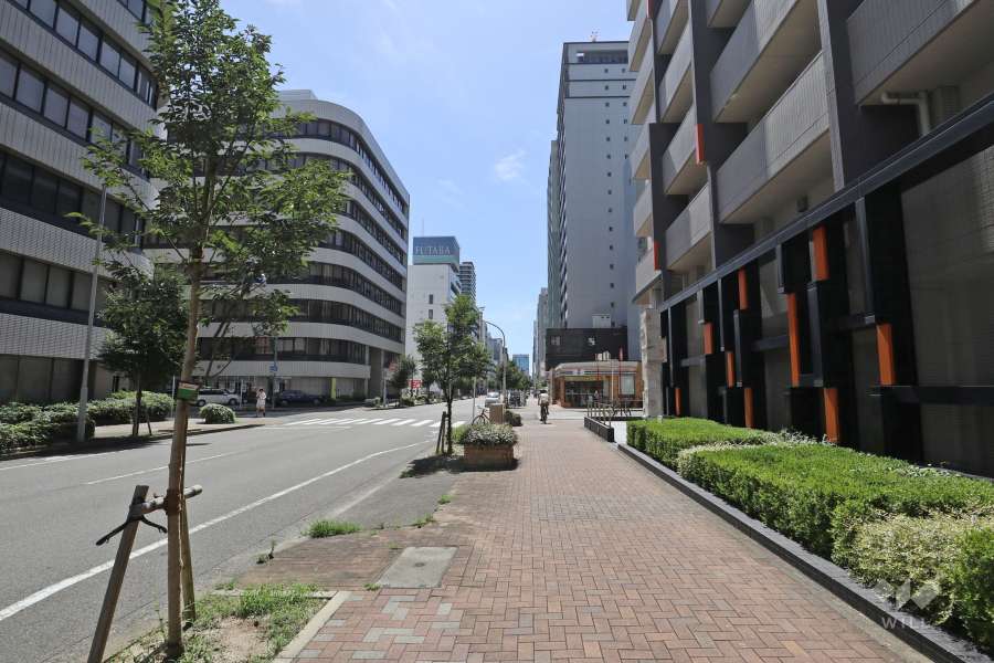 敷地南側の前面道路（東側から）