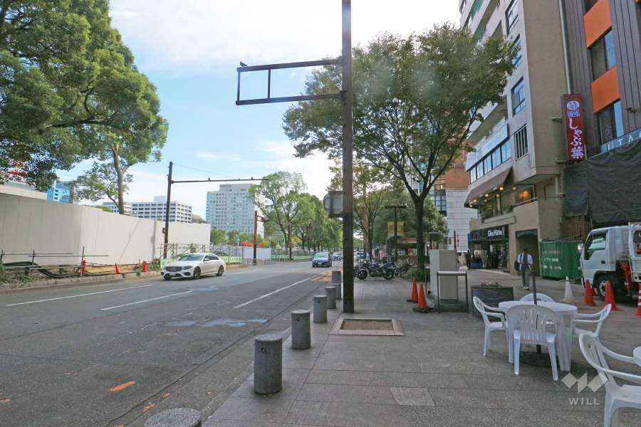敷地東側の前面道路（北側から）