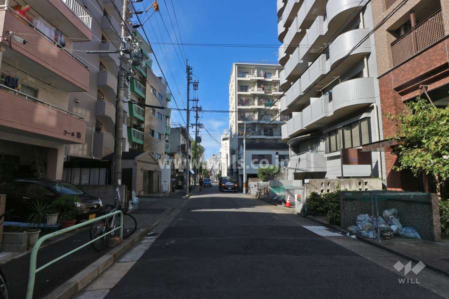 敷地西側の前面道路（南側から）