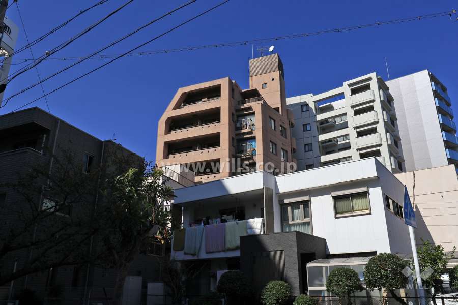 ラッフル千代田の外観（南側から）