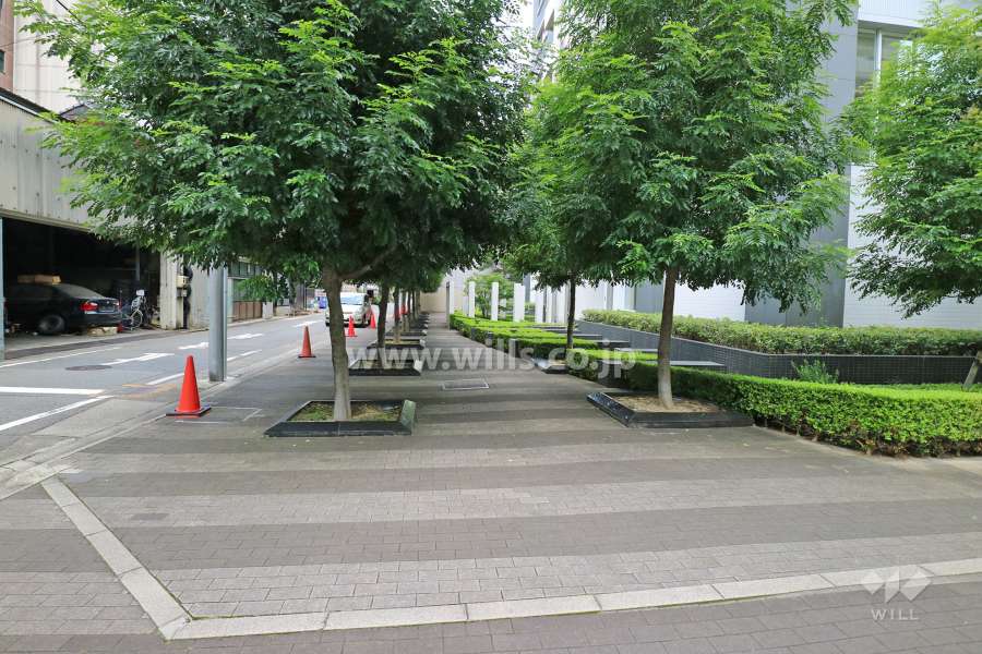敷地北側の植栽
