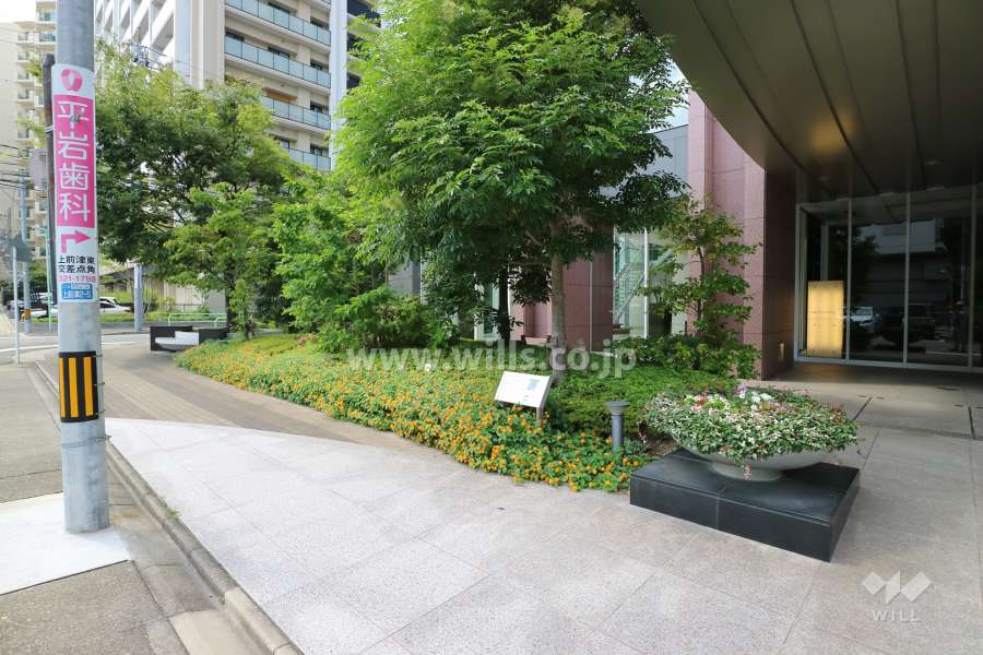 エントランスの植栽