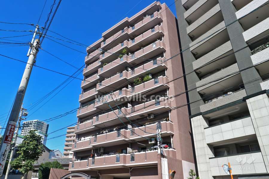 千代田アイリスの外観（南側から）