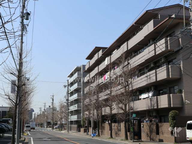 グローリアス名東富が丘の外観（南東側から）と正面道路