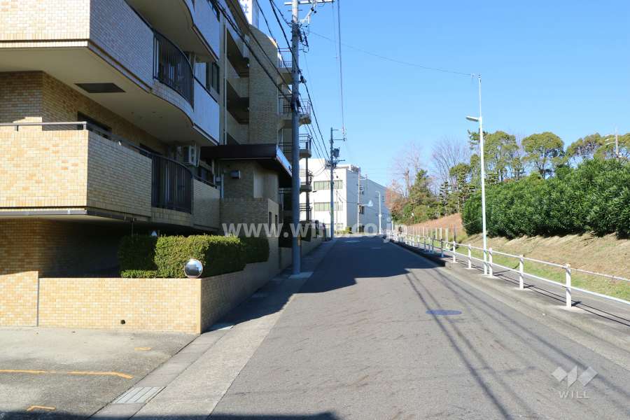 敷地東側の前面道路
