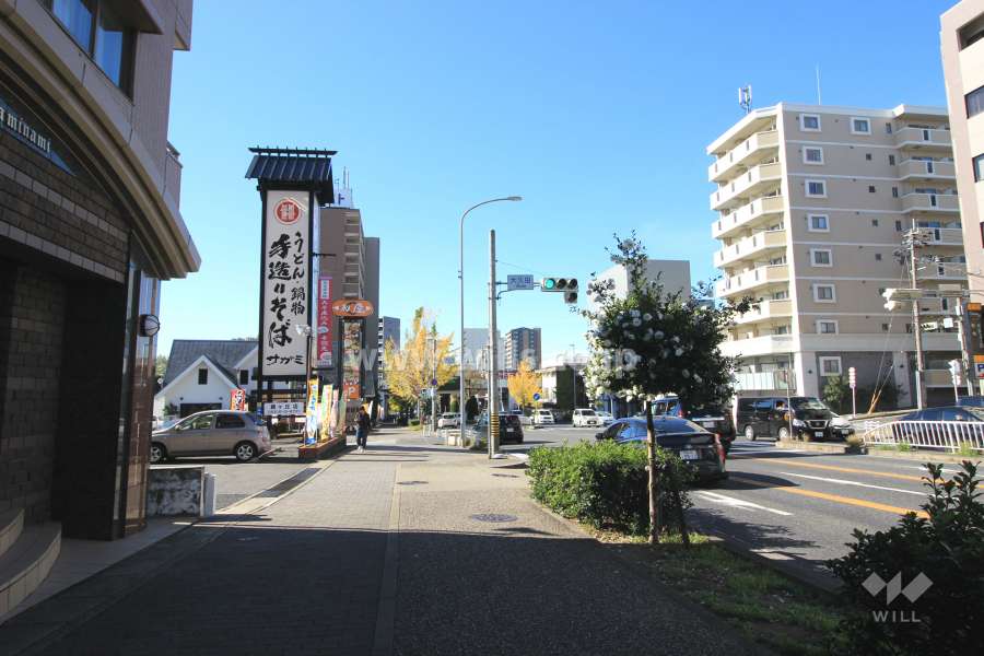 敷地北側の前面道路.。車通りの多い道に面しています。