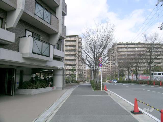 敷地東側の道路。街路樹のきれいな通りです。