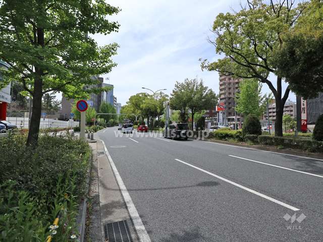 敷地の北側前面道路(東側から撮影)