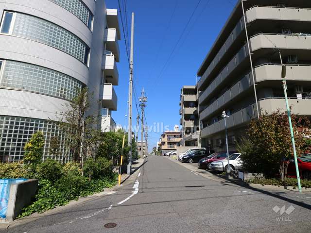 敷地東側の前面道路（南側から）