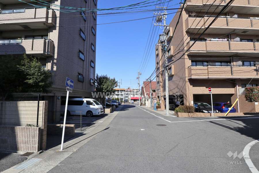 敷地東側の前面道路（南側から）