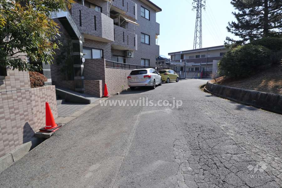 敷地南西側の前面道路(北西側から)