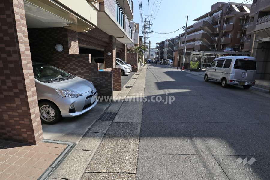 敷地南側の前面道路(西側から)