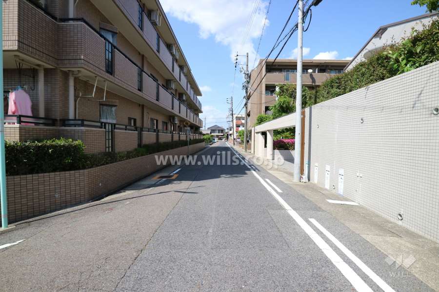 敷地東側の前面道路（南側から）