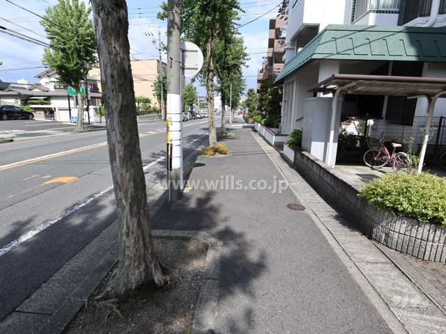 敷地北側の前面道路-(2)