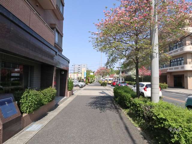 敷地北東側の前面道路