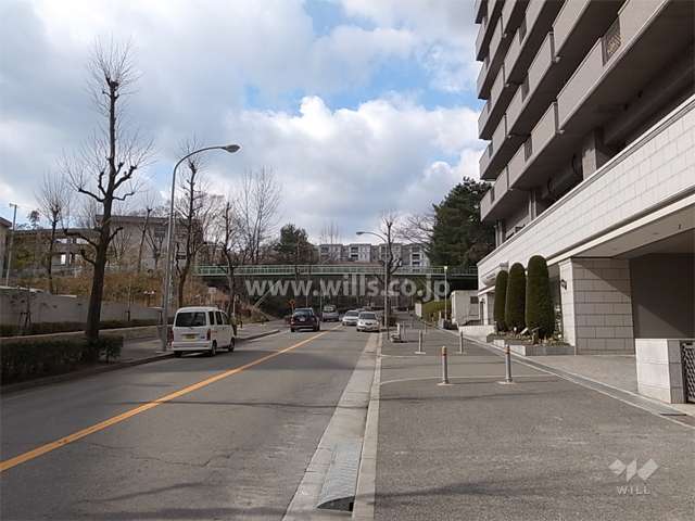 敷地南側の通りは街路樹がきれいです。