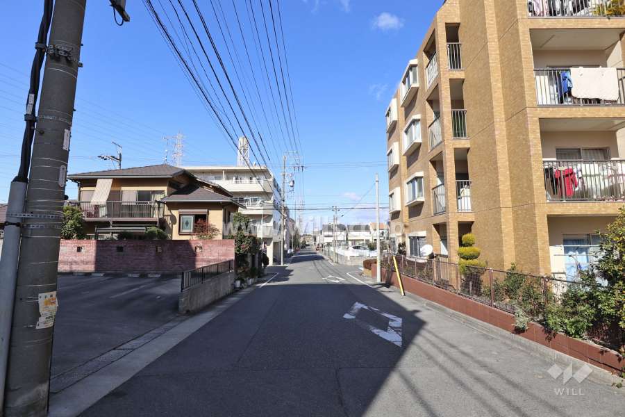 敷地西側の前面道路（南側から）